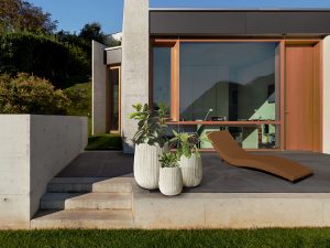 Terras 834926